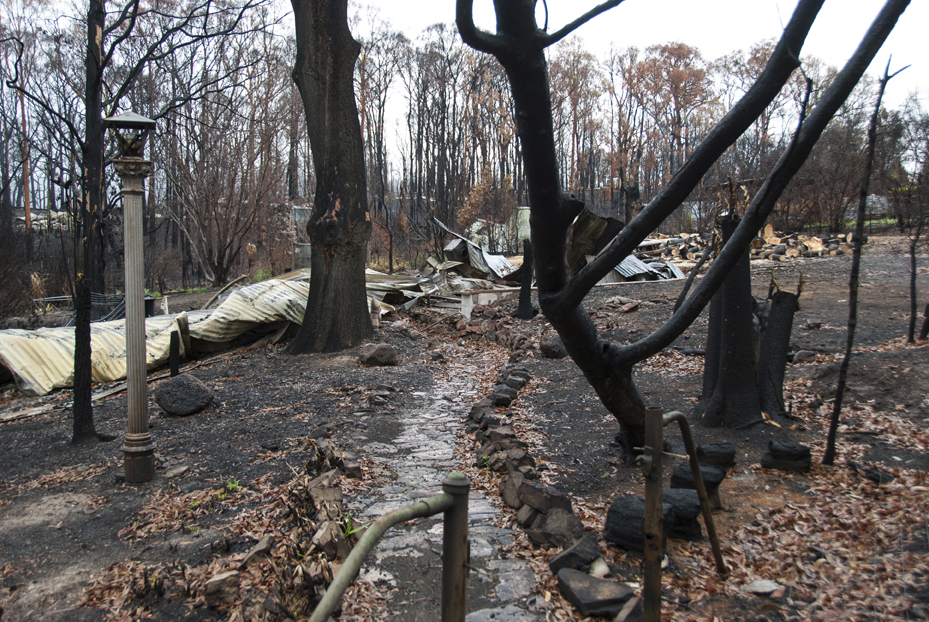 Bushfire Devastation